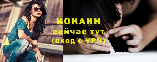мет Бородино