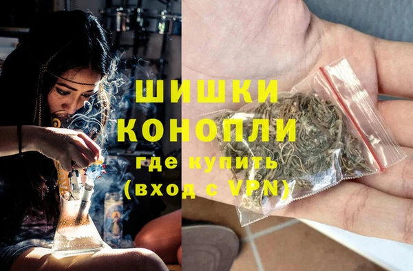 мет Бородино