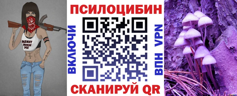 Псилоцибиновые грибы мухоморы дарнет шоп Эртиль